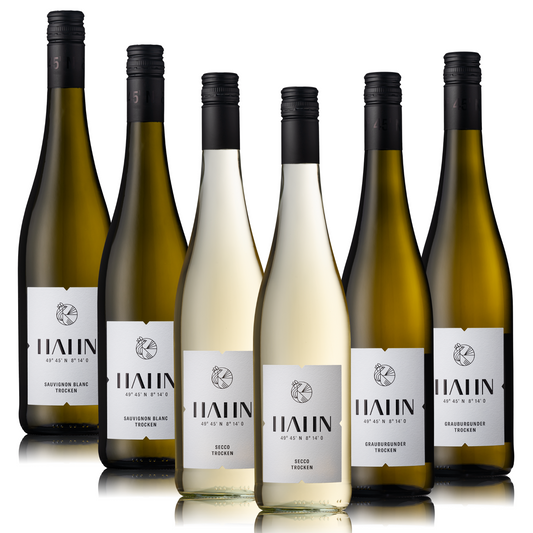 Sommerabend-Paket- Picknickfreude im Glas!